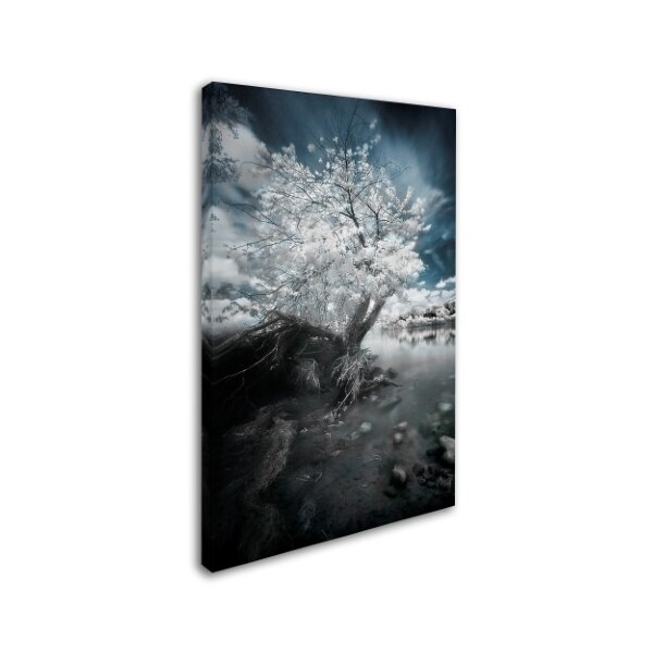 David Senechal 'Uprooting' Canvas Art,22x32